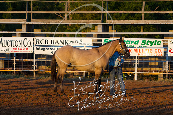 IMG_9922©KRISTYTROYER