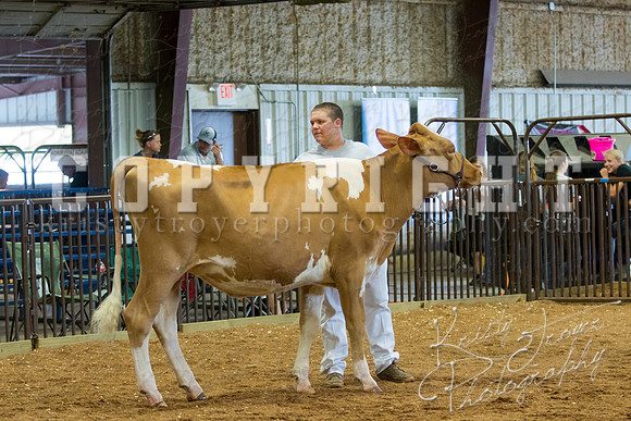 MAYES_COUNTY_FAIR_DAIRY-3307