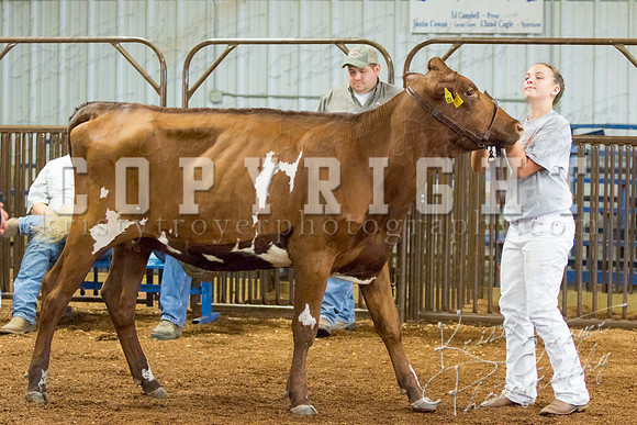 MAYES_COUNTY_FAIR_DAIRY-3405
