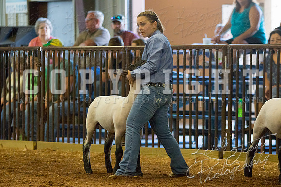 MAYES_COUNTY_FAIR_SHEEP-2864