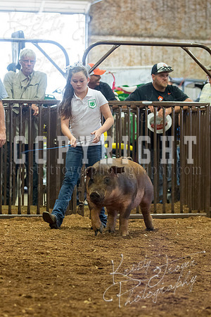 MAYES_COUNTY_FAIR_Swine-9549