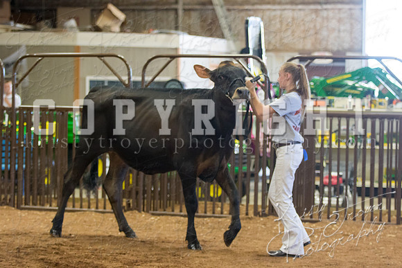 MAYES_COUNTY_FAIR_DAIRY-3454