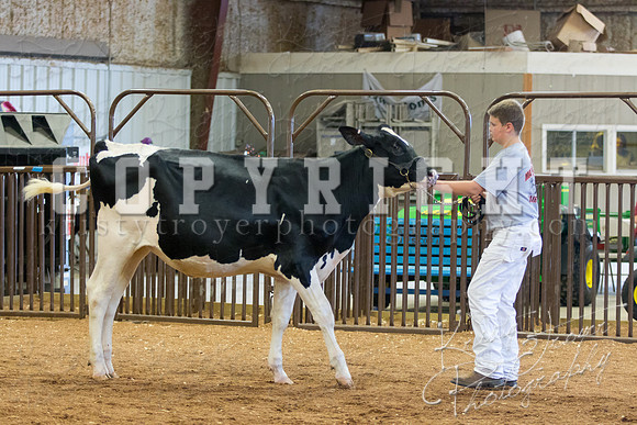 MAYES_COUNTY_FAIR_DAIRY-3341