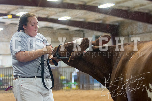 MAYES_COUNTY_FAIR_DAIRY-3438