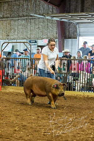 MAYES_COUNTY_FAIR_Swine-9536
