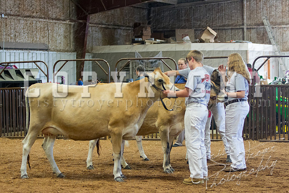 MAYES_COUNTY_FAIR_DAIRY-3376