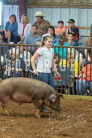 MAYES_COUNTY_FAIR_Swine-9558