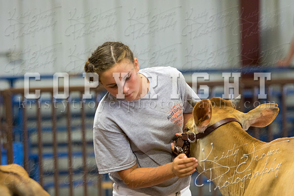 MAYES_COUNTY_FAIR_DAIRY-3389