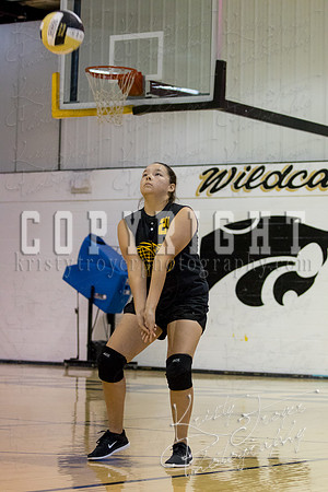 salina_vs_locustgrove_volleyball-1075
