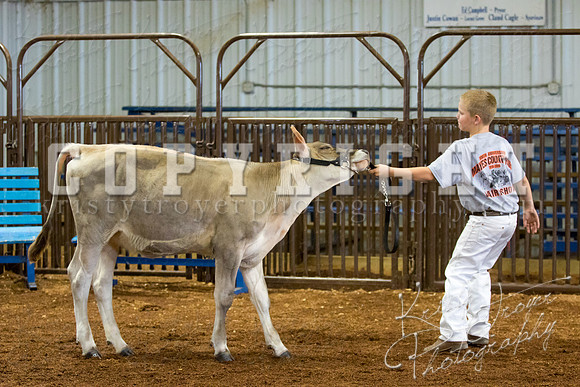 MAYES_COUNTY_FAIR_DAIRY-3439