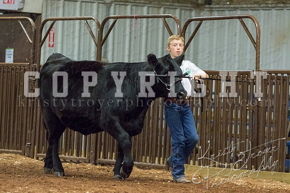MAYES_COUNTY_FAIR_heifer-4123