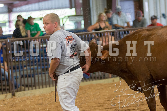 MAYES_COUNTY_FAIR_DAIRY-3403