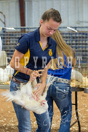 MAYES_COUNTY_FAIR_boiler-3851