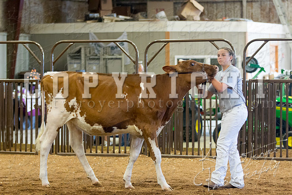MAYES_COUNTY_FAIR_DAIRY-3335