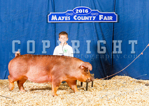Mayes_County_Fair_Backdrop-0380