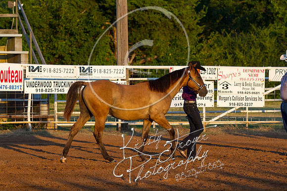 IMG_9909©KRISTYTROYER