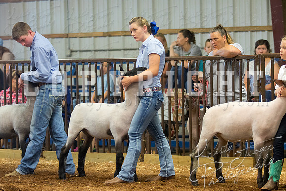 MAYES_COUNTY_FAIR_SHEEP-2869
