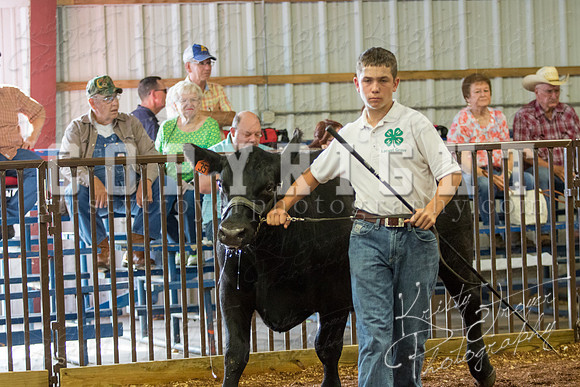 MAYES_COUNTY_FAIR_steer-3916