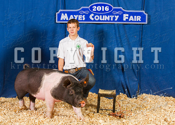 Mayes_County_Fair_Backdrop-0408