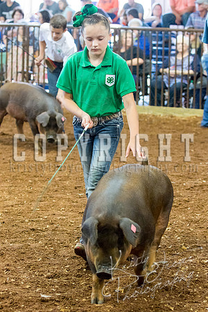 MAYES_COUNTY_FAIR_Swine-9512