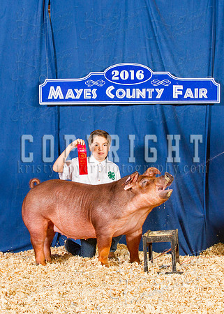 Mayes_County_Fair_Backdrop-0342