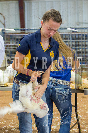 MAYES_COUNTY_FAIR_boiler-3852