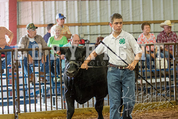 MAYES_COUNTY_FAIR_steer-3917