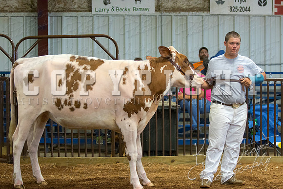 MAYES_COUNTY_FAIR_DAIRY-3442