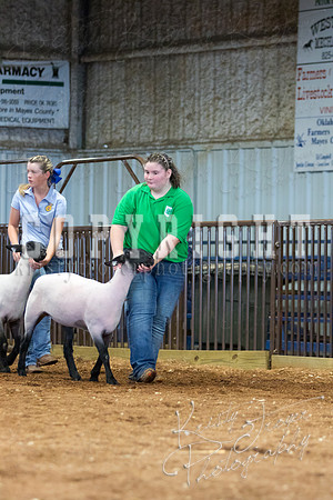 MAYES_COUNTY_FAIR_SHEEP-3101