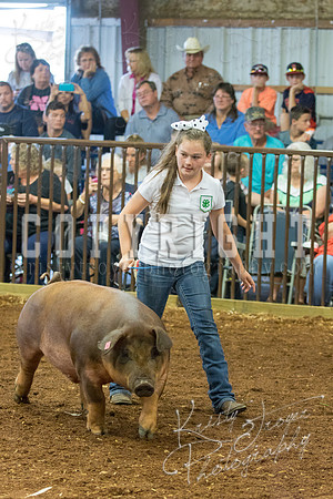MAYES_COUNTY_FAIR_Swine-9554