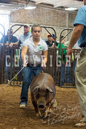 MAYES_COUNTY_FAIR_Swine-9494