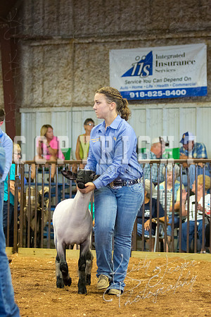 MAYES_COUNTY_FAIR_SHEEP-2954