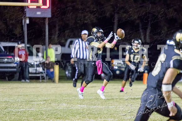 salina_vs_hollandhall_football-9708