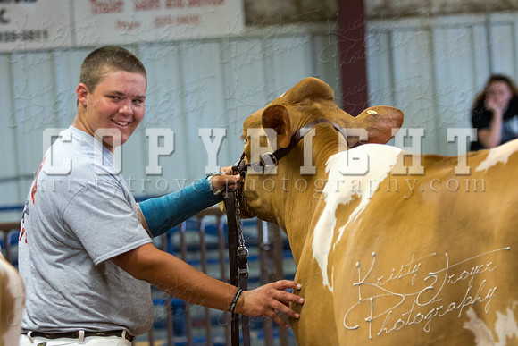 MAYES_COUNTY_FAIR_DAIRY-3312