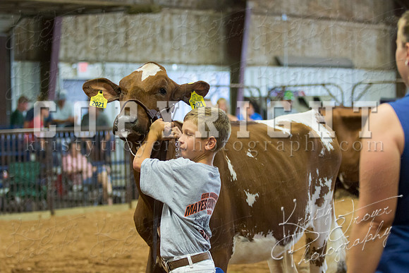 MAYES_COUNTY_FAIR_DAIRY-3418