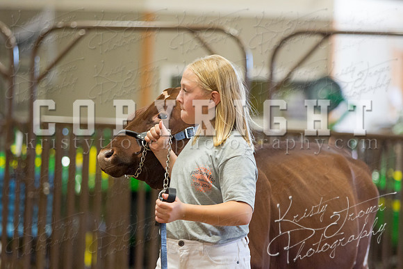 MAYES_COUNTY_FAIR_DAIRY-3453