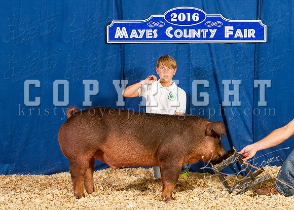 Mayes_County_Fair_Backdrop-0332