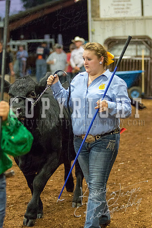 MAYES_COUNTY_FAIR_heifer-4119
