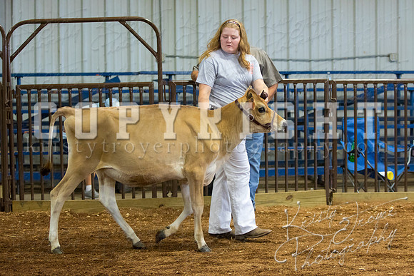 MAYES_COUNTY_FAIR_DAIRY-3367