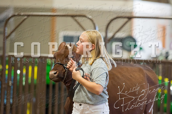 MAYES_COUNTY_FAIR_DAIRY-3452