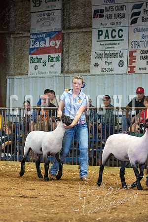 MAYES_COUNTY_FAIR_SHEEP-3107