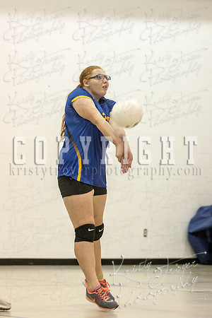 chouteau_vs_LocustGrove_volleyball©KristyTroyerPhotography-1418