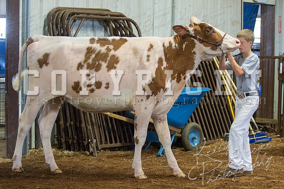 MAYES_COUNTY_FAIR_DAIRY-3354