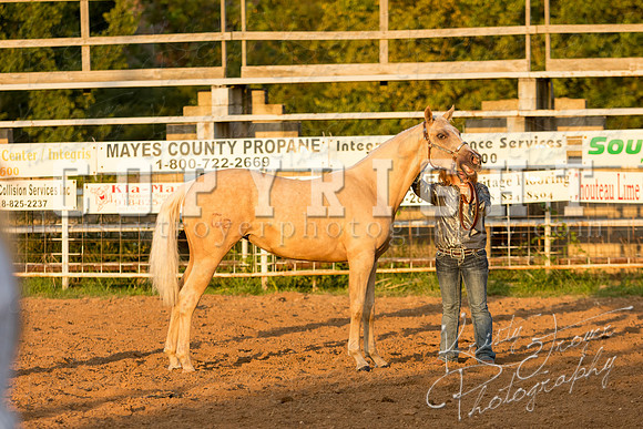 mayescountyfair_horseshow_©KTroyerPhoto-3464