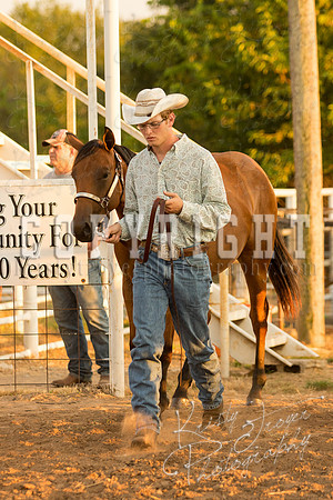 mayescountyfair_horseshow_©KTroyerPhoto-3465