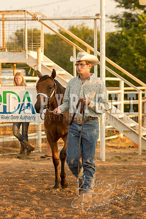 mayescountyfair_horseshow_©KTroyerPhoto-3467