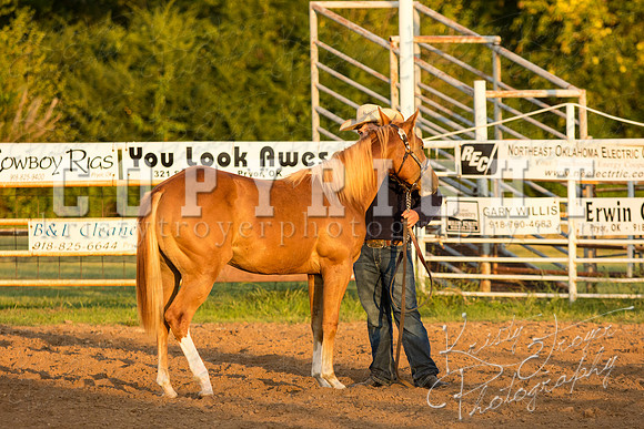 mayescountyfair_horseshow_©KTroyerPhoto-3468