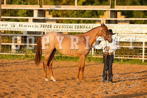 mayescountyfair_horseshow_©KTroyerPhoto-3469