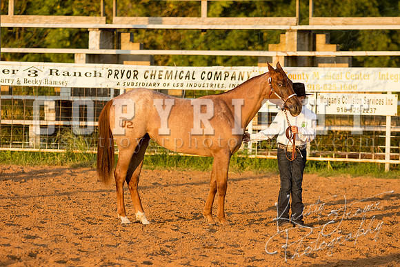 mayescountyfair_horseshow_©KTroyerPhoto-3470