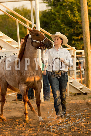 mayescountyfair_horseshow_©KTroyerPhoto-3472